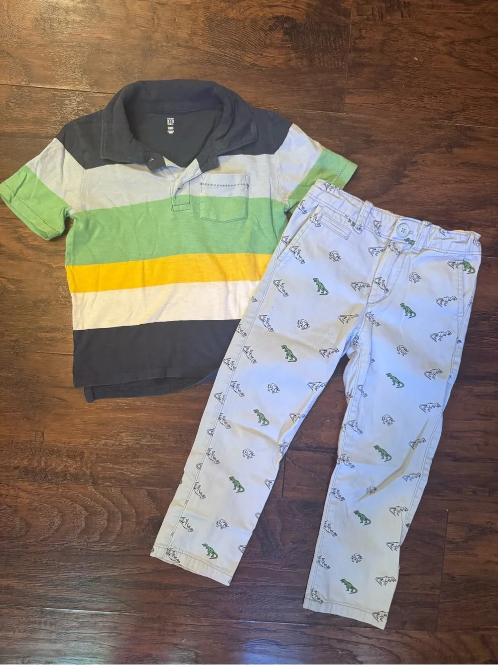 GAP Boys Striped Polo and Dinosaur Pants